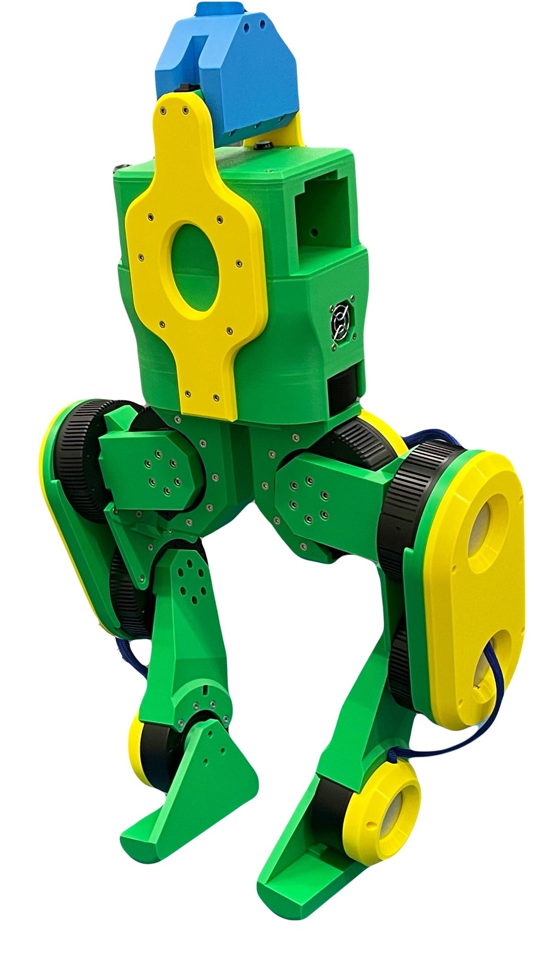 We have build a Bipedal Robot